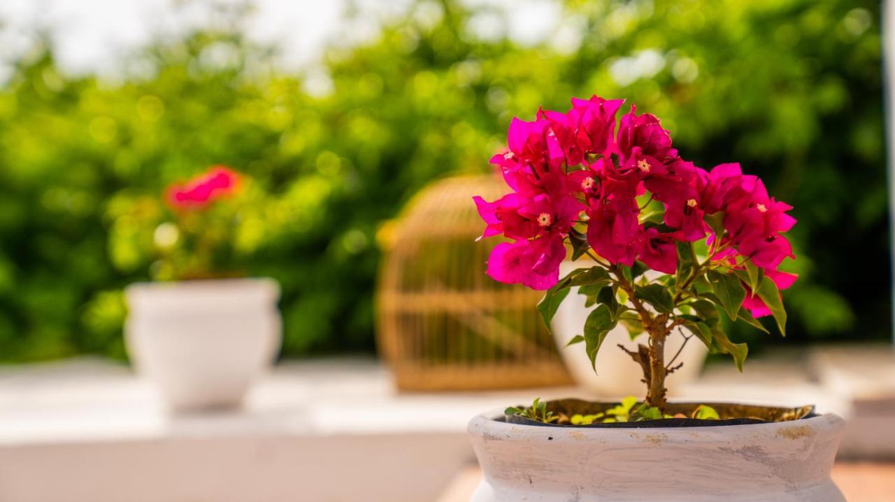 Club Beyy Resort Hotel İzmir Luaran gambar